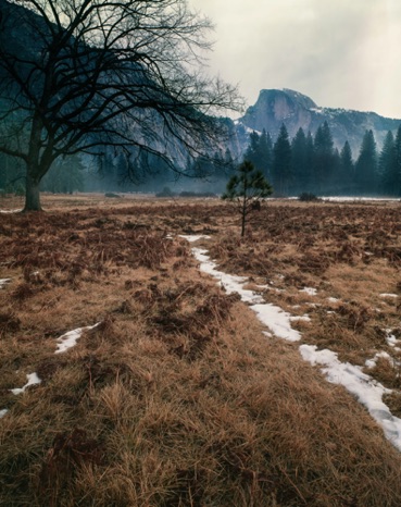 Yosemite Valley
.jpg Yosemite Valley
.jpg
