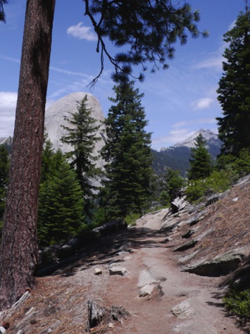 L1010749_1.jpg L1010749_1.jpg