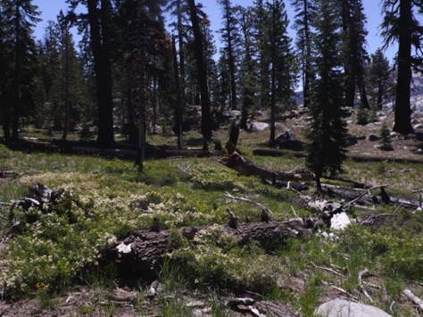 L1010761_1.jpg L1010761_1.jpg
