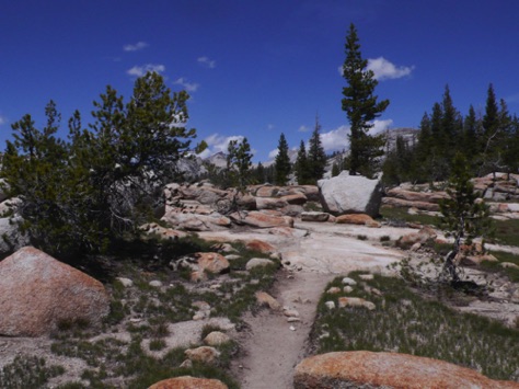 L1010762_1.jpg L1010762_1.jpg