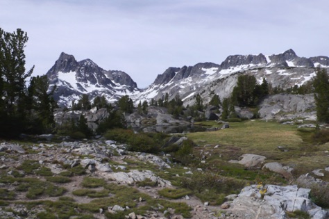 L1010788_1.jpg L1010788_1.jpg