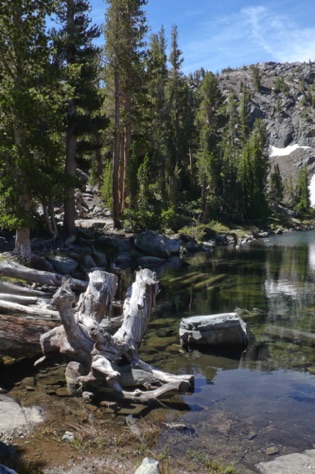 L1010797_1.jpg L1010797_1.jpg