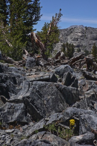 L1010800_1.jpg L1010800_1.jpg