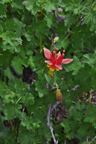 L1010802_1.jpg L1010802_1.jpg