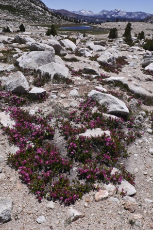 L1010815_1.jpg L1010815_1.jpg