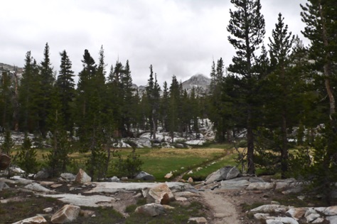 L1010816_1.jpg L1010816_1.jpg