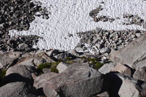 L1010833_1.jpg L1010833_1.jpg