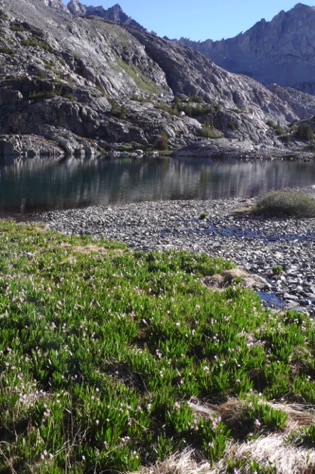 L1010835_1.jpg L1010835_1.jpg