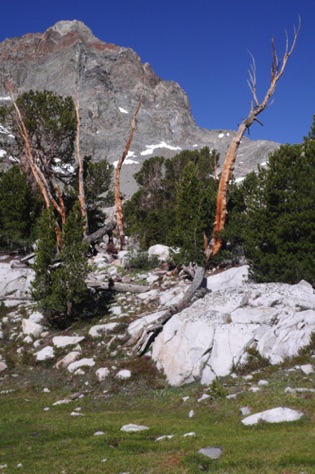 L1010836_1.jpg L1010836_1.jpg