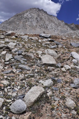 L1010848_1.jpg L1010848_1.jpg
